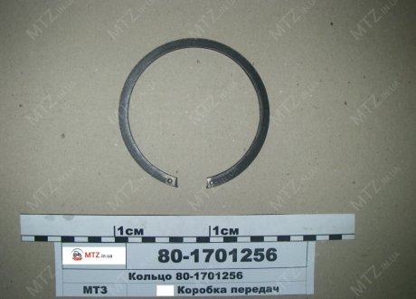 Кольцо вала вторичного КПП 1025 (ПО) МТЗ 80-1701256 (фото 1)