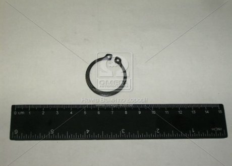 Кольцо ступицы (АвтоВАЗ) 21010-170111700 (фото 1)