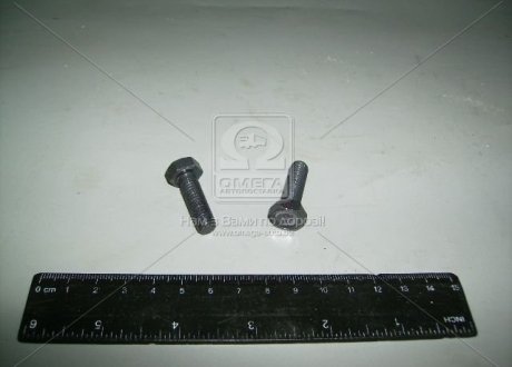 Болт М8х25 опоры шаровой ВАЗ 2101 (Белебей) 1/60436/30 (фото 1)