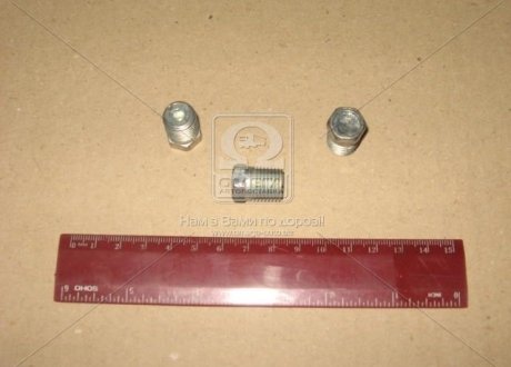 Заглушка краника радиатора ВОЛГА (ГАЗ) 4599311-302 (фото 1)