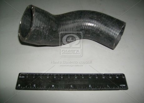 Патрубок радиатора ГАЗ подводящий нижний (БРТ) 33081-1303025Р (фото 1)