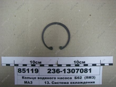 Кольцо насоса водяного Б 62 Автодизель (ЯМЗ)- г.Ярославль 236-1307081 (фото 1)