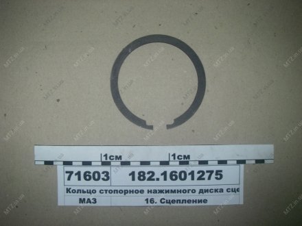 Кольцо стопорное Автодизель (ЯМЗ)- г.Ярославль 182.1601275 (фото 1)