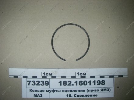 Кольцо муфты сцепления Автодизель (ЯМЗ)- г.Ярославль 182.1601198 (фото 1)