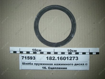 Шайба пруж. упорного кольца Автодизель (ЯМЗ)- г.Ярославль 182.1601273 (фото 1)