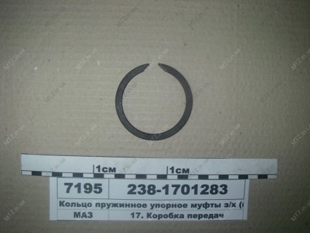 Кольцо пружинное упорное муфты з/х Автодизель (ЯМЗ)- г.Ярославль 238-1701283 (фото 1)