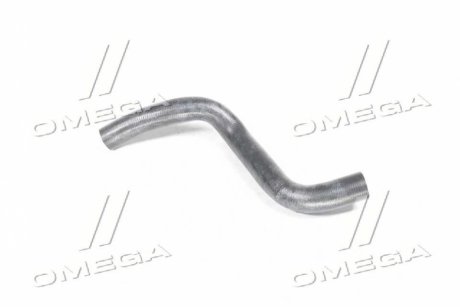 Фото 1 - патрубок радіатора нижній відвідний CHEVROLET AVEO 1,5 (96536613) Gates 05-2051 Патрубок радіатора нижній відвідний CHEVROLET AVEO 1,5 (96536613) Gates 05-2051 (фото 1)