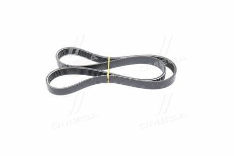 Фото 1 - ремень 6РК-1220 ДВС 406 без ГУР<> (Куп. ОМУ) Gates 406.1308020-11 Ремень 6РК-1220 ДВС 406 без ГУР<> (Куп. ОМУ) Gates 406.1308020-11 (фото 1)