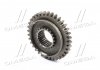 Шестерня вала синхронизир. понижающего редуктора (Z=34) (внутр. шлиц) МТЗ-892-1021 МЗШ 74-1721090-01 (фото 1)