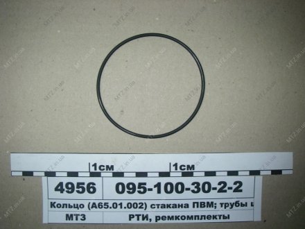 Кольцо (А65.01.002) (стакана ПВМ; трубы шкворня) (Рось-Гума) Рось-гума 095-100-30-2-2 (фото 1)