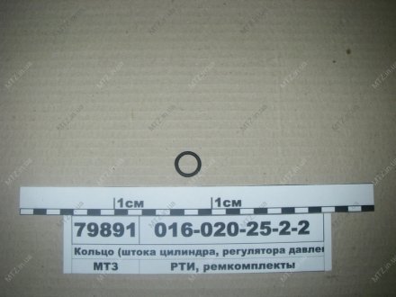 Кольцо (штока цилиндра, регулятора давления) (Рось-Гума) Рось-гума 016-020-25-2-2 (фото 1)