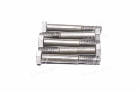 Болт х2,0 шестигранный (1кг = 1 компл) ГОСТ 7798-08 (Украина) Дружковский метизный з-д М16х110