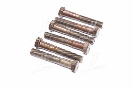 Болт х2,0 шестигранный (1кг = 1 компл) ГОСТ 7805-70 (Украина) Дружковский метизный з-д М16х100