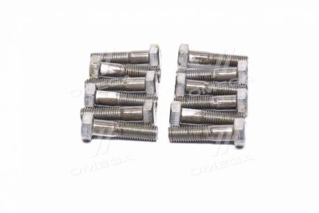 Болт х2,0 шестигранный (1кг = 1 компл) ГОСТ 7798-08 (Украина) Дружковский метизный з-д М14х55