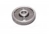 Шестерня приводу вала розподіл. Д 65, ЮМЗ 6 (вир-во Україна) Агро-Днепр Д04-005 (фото 4)