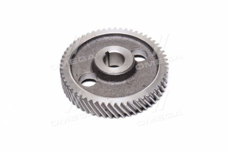 Шестерня приводу вала розподіл. Д 65, ЮМЗ 6 (вир-во Україна) Агро-Днепр Д04-005