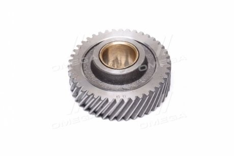 Шестерня проміжна з втулкою ЮМЗ (вир-во Україна))) Агро-Днепр Д04-С02 СБ