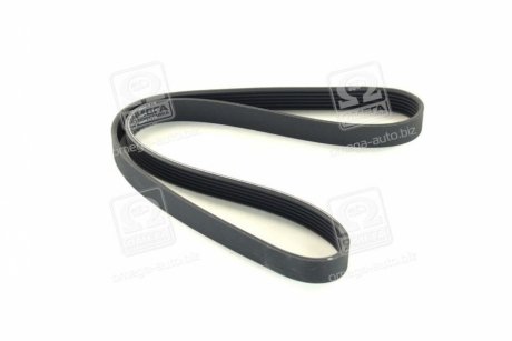 Ремень поликлин. (выр-во) SKF VKMV6PK1053 (фото 1)