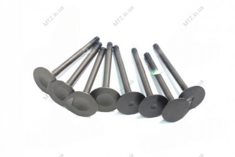 Клапана Газель NEXT дв.УМЗ-A274 EvoTech 2.7 (впуск-4.випуск-4) RIDER 274.3906597/93