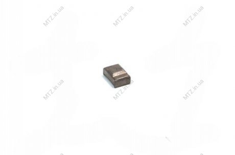 Фото 1 - сухар синхронізатора ГАЗЕЛЬ,ВОЛГА DETALKA 31029-1701171-10 Сухар синхронізатора ГАЗЕЛЬ,ВОЛГА DETALKA 31029-1701171-10 (фото 1)