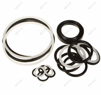 Ремкомплект гідроциліндра ЦС-100 (нового зразка) (в-во РК) S.I.L.A. SL 11.406